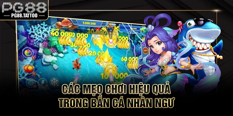 Bắn Cá Nhân Ngư – Cuộc Săn Dưới Đại Dương Hấp Dẫn Các mẹo chơi hiệu quả trong săn cá nhân ngư