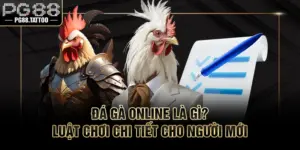 Đá Gà Online Là Gì? Luật Chơi Chi Tiết Cho Người Mới