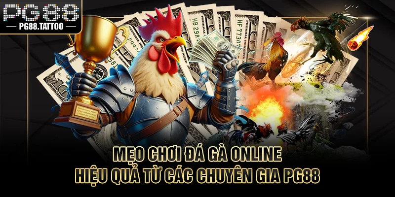 Mẹo chơi chọi kê online hiệu quả từ các chuyên gia PG88