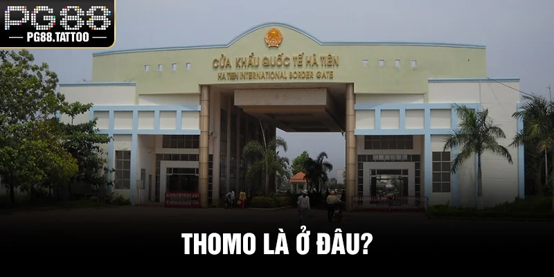 Thomo Là Ở Đâu? Tìm Hiểu Thiên Đường Đá Gà Đẳng Cấp Thomo là ở đâu?